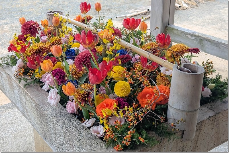 糸島 大祖神社の花手水【糸島市志摩芥屋】 2025/11