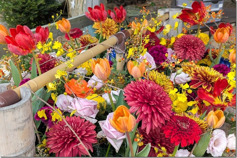 糸島 大祖神社の花手水【糸島市志摩芥屋】 2025/11