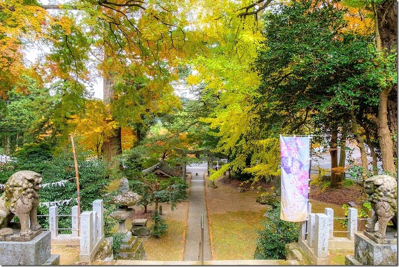 雷神社の境内 紅葉【糸島市雷山】