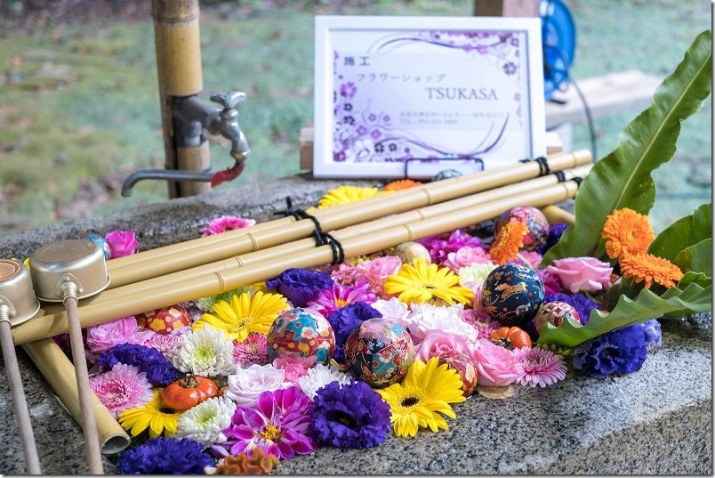 糸島 熊野神社の花手水【糸島市小金丸】 2025/11