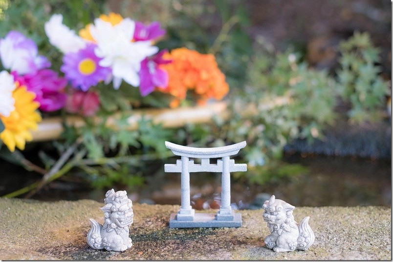 熊野神社の花手水と鳥居、狛犬のオブジェ【糸島市小金丸】 フォトスポット