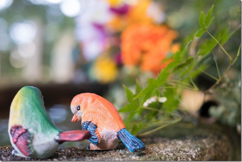 熊野神社の花手水と小鳥のオブジェ【糸島市小金丸】 フォトスポット