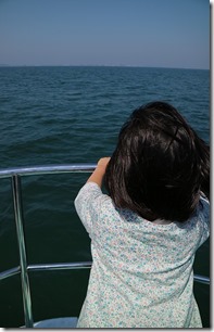 遊覧船から海を眺め