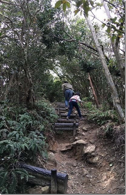 糸島 立石山の登山道