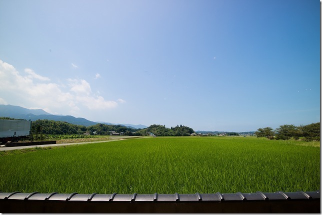 糸島、田園喫茶ワイルドベリーからの風景