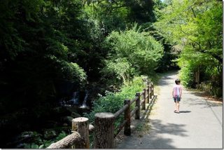 夏の野河内渓谷で水遊び(福岡市早良区)