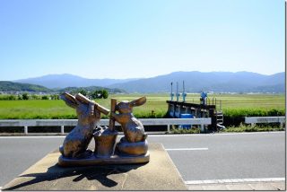 糸島のランチで野菜が食べられるおすすめカフェ「月うさぎ」
