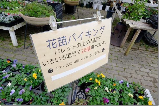 糸島市、アートグリーン緑化センターの花苗バイキング