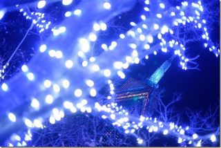 福岡タワーのクリスマスイルミネーション2017