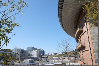 イトリーイト ITRI ITOの野菜たっぷりのランチビュッフェ(メニュー、アクセス)