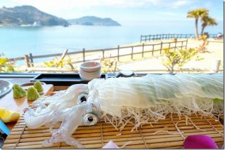 糸島でイカの活き造りを食す 波平