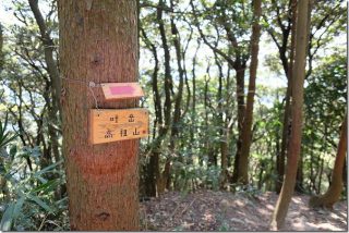 飯盛山から叶岳(日向山、高地山を経由)ルートを子供と登山