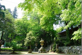 新緑の雷神社(糸島市雷山)