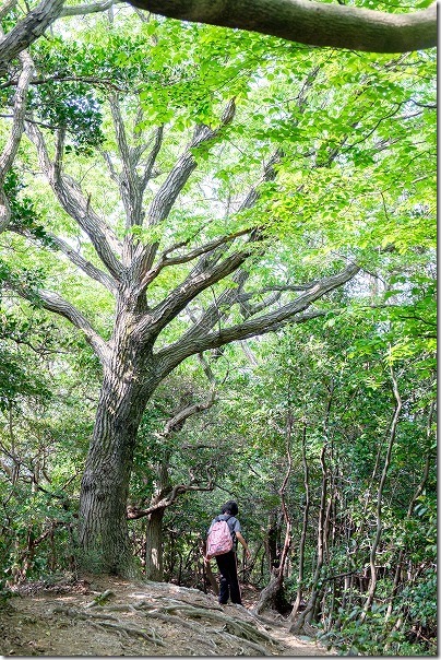 高地山ー叶岳ルート