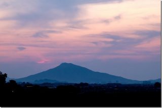 糸島のホタル(瑞梅寺川・川原川)