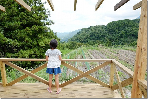 テラス、糸島、白糸うどん