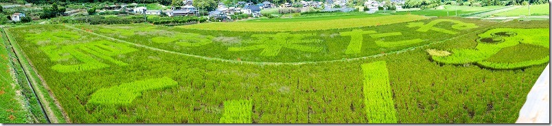 糸島二丈の赤米駐のアート