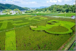 糸島 二丈の赤米(駐車場・アート)
