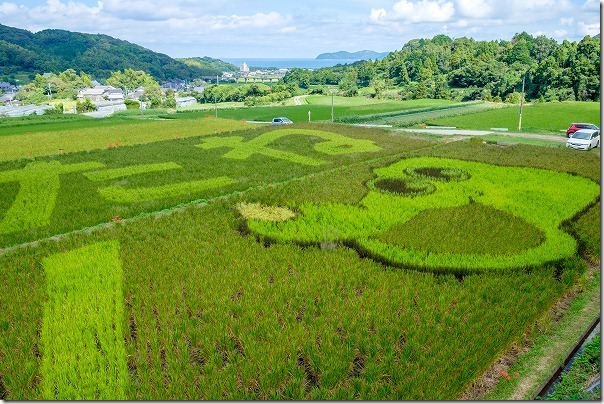 糸島二丈の赤米アート