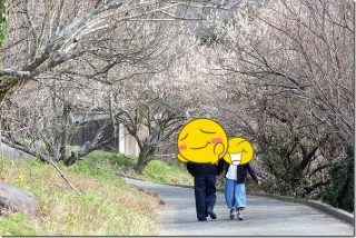 糸島の小富士梅林で梅干しやジャムを購入