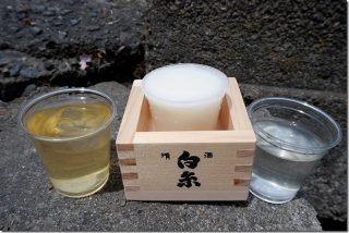 白糸酒造の蔵開き2019(限定酒や食事を楽しむ)