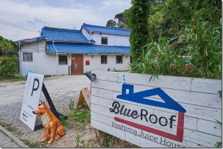 Blue Roofのスムージー(糸島市桜井)