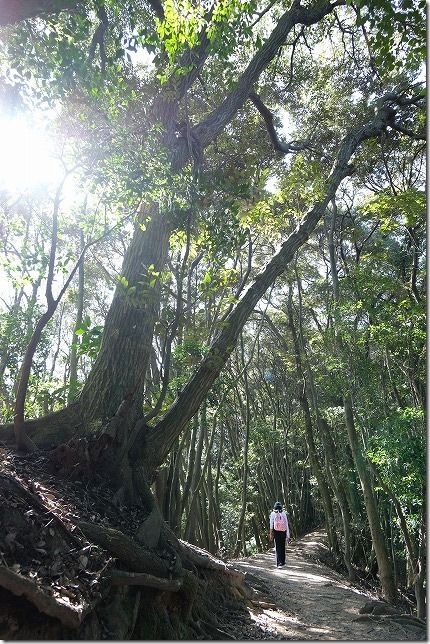 子供,可也山登山,登山道,糸島