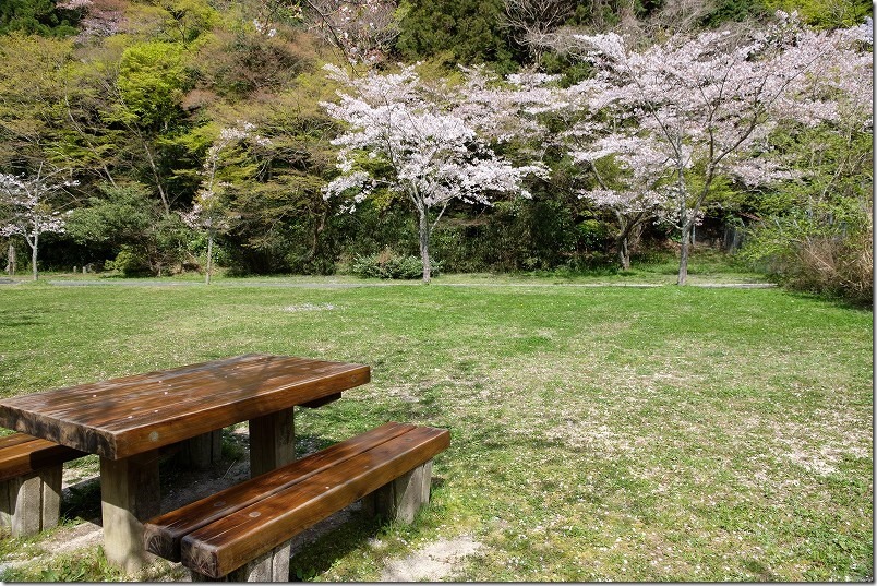 曲渕ダム公園のベンチ、ピクニック