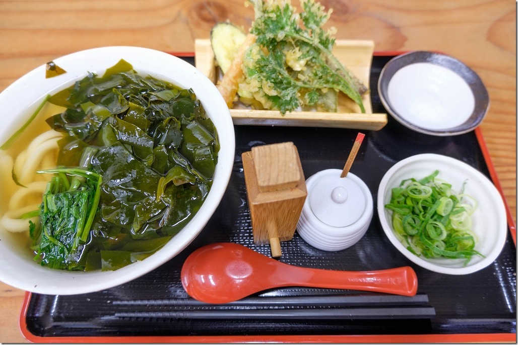 白糸うどん「やすじ」の糸島産「生わかめうどん」