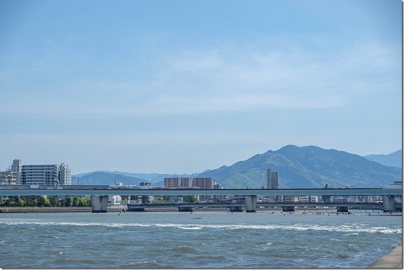 室見川で潮干狩り