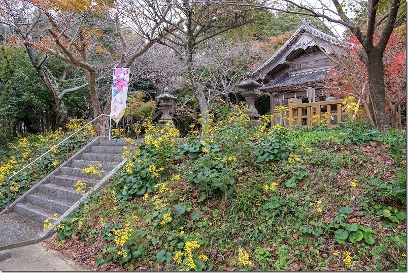 糸島市二丈深江、鎮懐石八幡宮