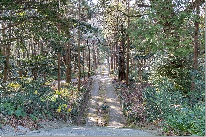 糸島、高祖神社の石畳と森