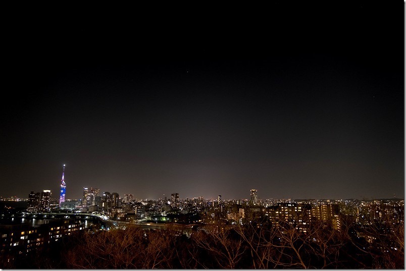 愛宕神社の夜桜、展望台から夜景