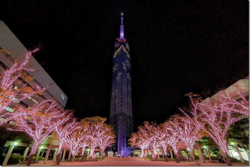 福岡タワーの桜色のピンクのイルミネーション