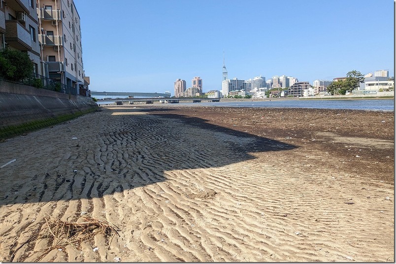 室見川で潮干狩り、愛宕東公園から愛宕大橋まで歩く