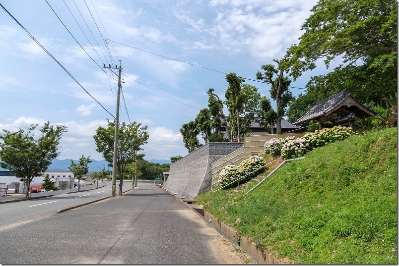 糸島、アジサイ寺「ヲベタ清正公堂」