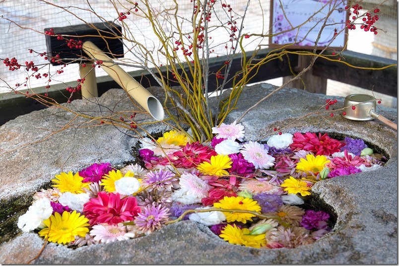 糸島市高祖、高祖神社の花手水