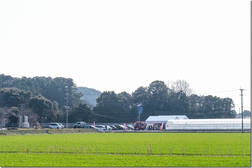 糸島市志摩の田園風景の中にあるイチゴ園、キッチンカー