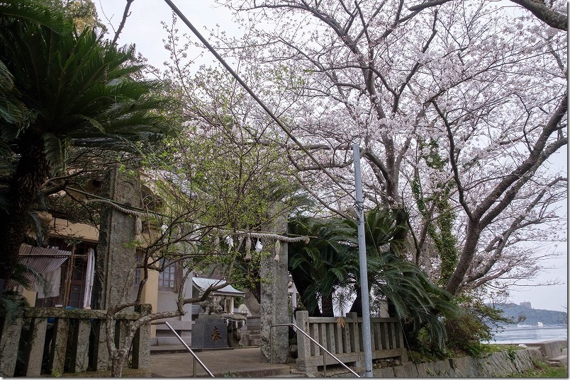 船越、綿積神社の本殿と海