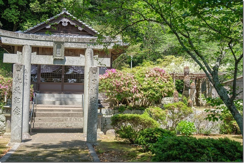 糸島、志々岐神社の藤棚