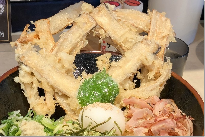 うどん和助　糸島店「冷のごぼう天ぶっかけ・和助火薬」