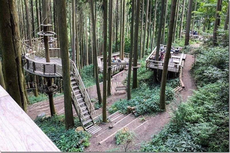 糸島 森のカフェの木々の合間のテラス席。混み具合（平日）