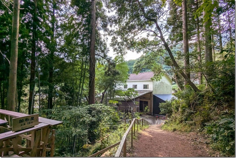 糸島 森のカフェの利用方法(森に入る)