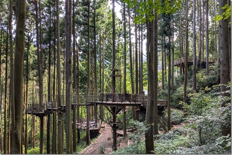 糸島 森のカフェの空中遊歩道