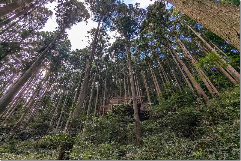 糸島 森のカフェ。上の方のテラス席を選ぶ