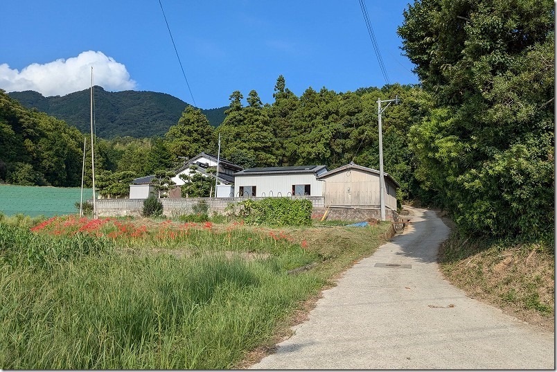 おむすび 糸島ロケ地 主人公の実家