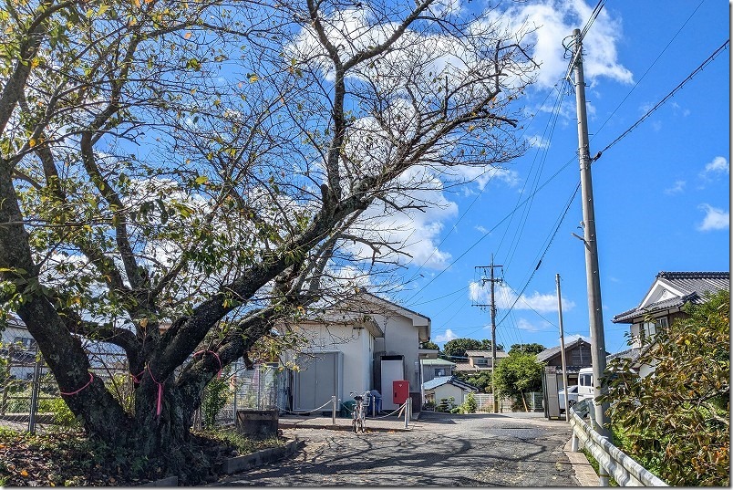 NHK朝ドラ「おむすび」のロケ地、一貴山駅