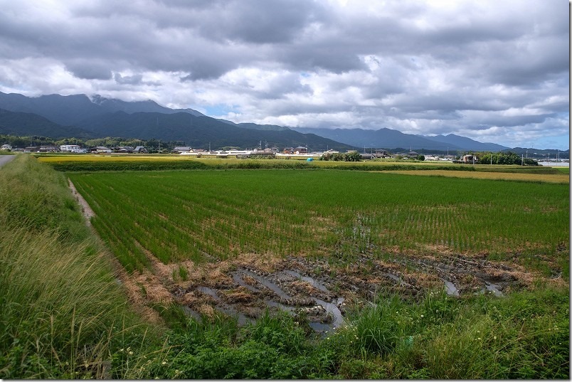 「おむすび」3話で登場した畑のロケ地の場所