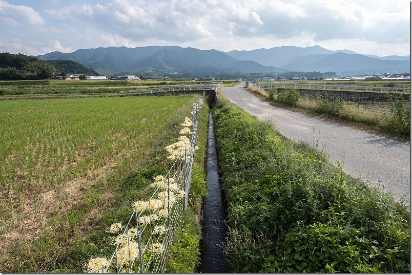 おむすび 糸島ロケ地 主人公が自転車で渡る橋（背景に雷山）