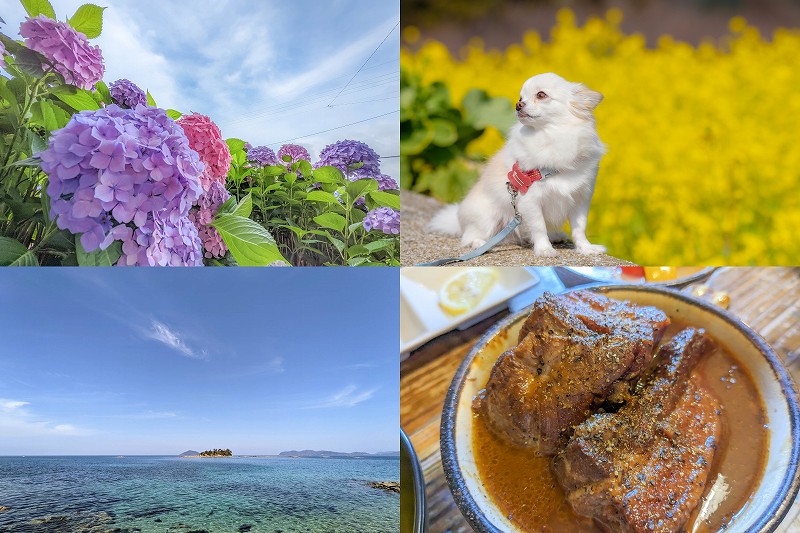 福岡糸島で食事と観光